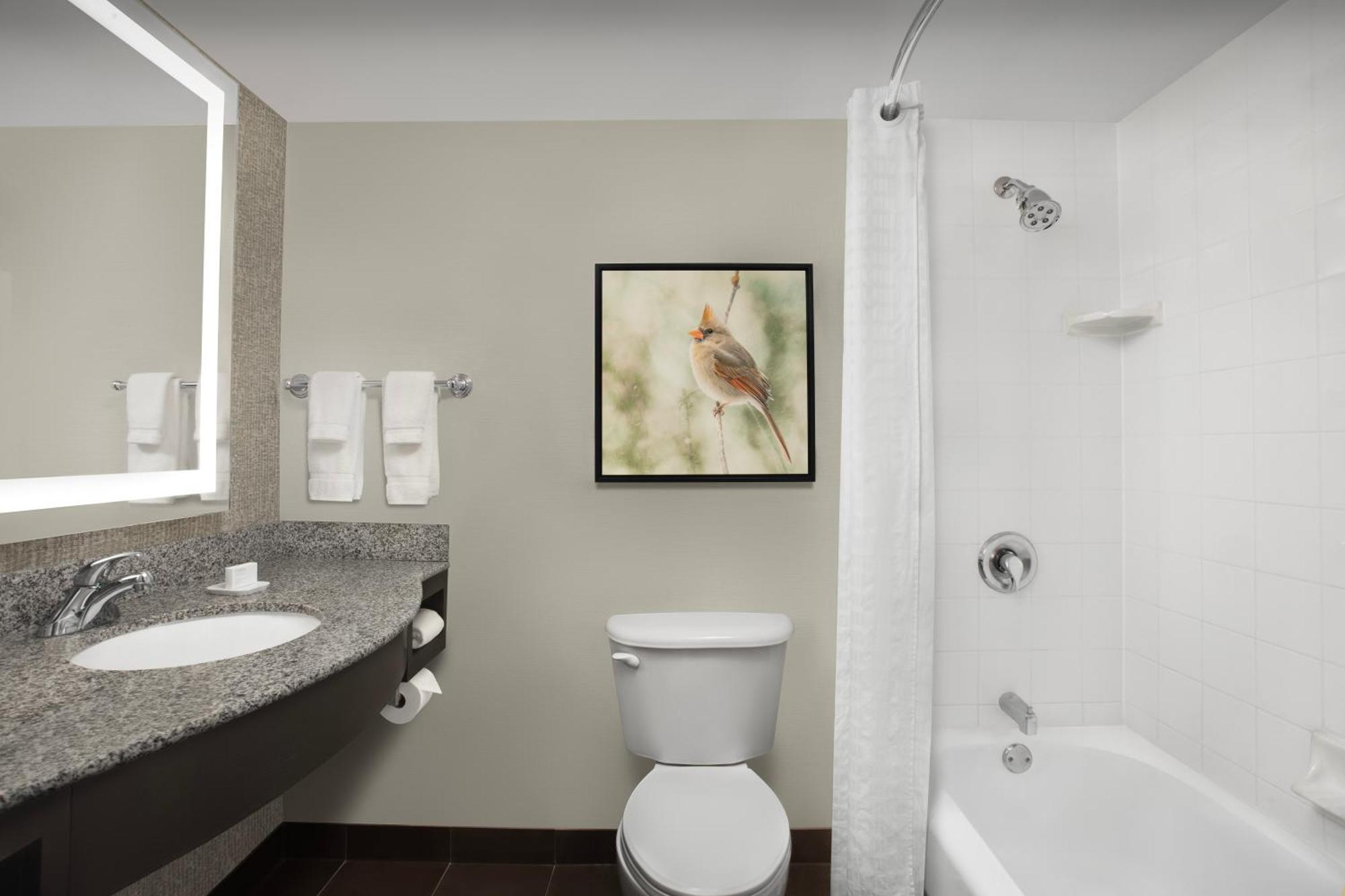 Hilton Garden Inn Хоффман-Эстейтс Экстерьер фото